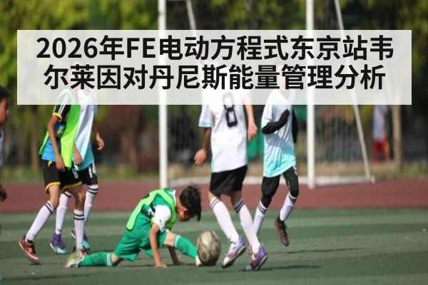 2026年FE电动方程式东京站韦尔莱因对丹尼斯能量管理分析